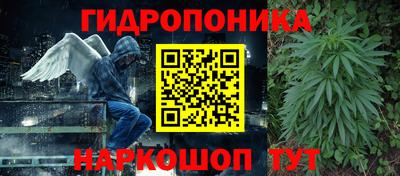 скорость Дубна